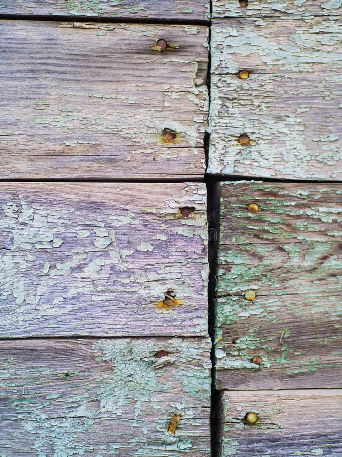 Texture of an Old Wooden Wall with Old Paint and Rusty Nails Stock