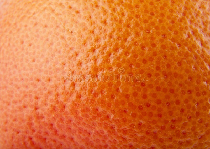 16785 Texture De Peau D Orange Photos Libres De Droits Et Gratuites De