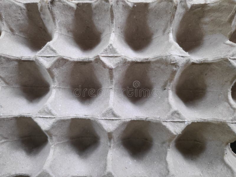 Texture of Paper Plate Egg Tray Stock Photo Image of paper, texture