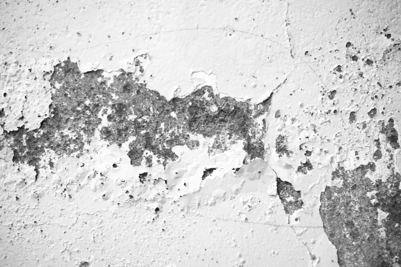 Texture Pattern of Peeling Paint Wall with An Artistic Exploration of Decagon Mockup overlay. Close-up of peeling paint on a cracked wall, black and white. Decagon stock images, royalty-free photos and pictures