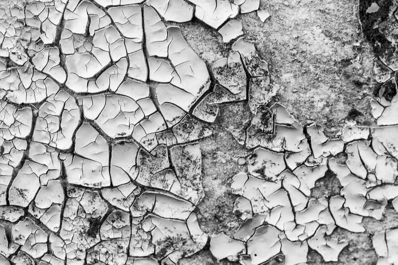 Texture of peeling paint. Abstract background for design. Black and white. Concrete fragment stock images, royalty-free photos and pictures