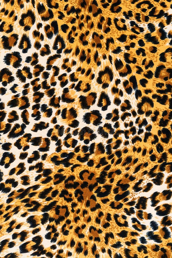 Animal print leopard HD wallpapers  Pxfuel