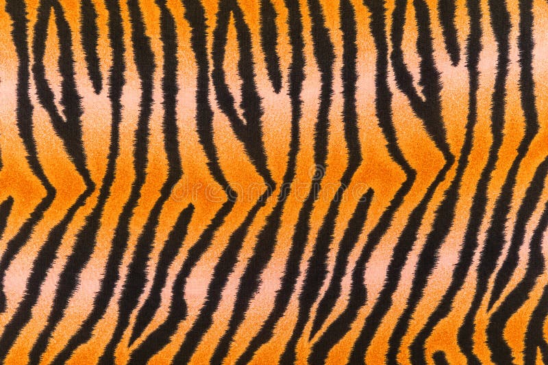 Tiger print carpet stock photo. Image of nobody, indoors 2045036