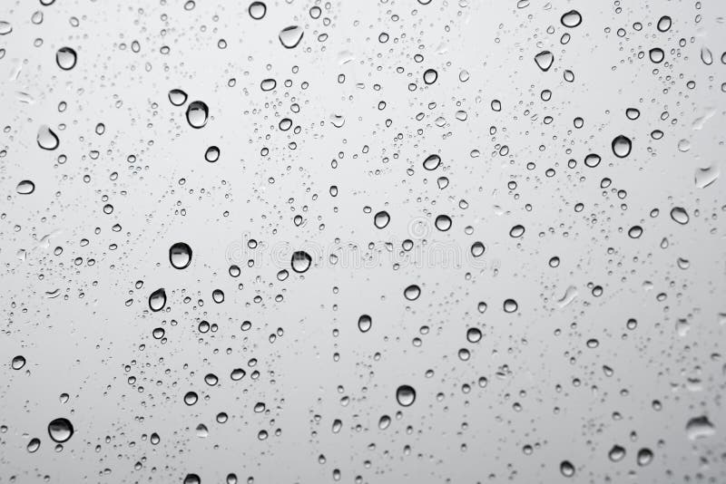 Rain Drops: Cảm nhận vẻ đẹp nhẹ nhàng của giọt mưa, được chụp lại với độ nét cao và ánh sáng đúng chuẩn, mang đến cho bạn cảm giác ấm áp và thư thái.