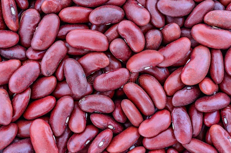 Texture of red kidney beans stock image