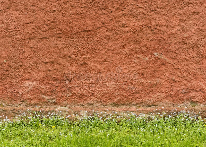 Texture of the red rough plastered wall with grass and flowers