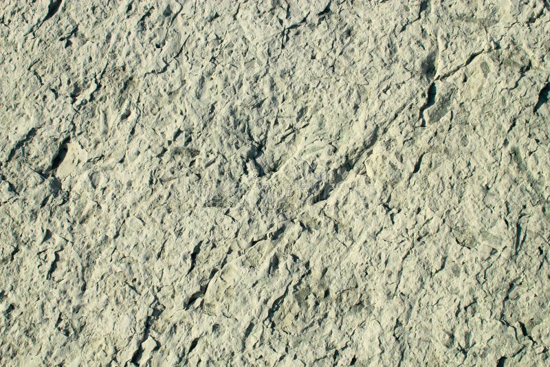 The Texture of Rocks Sedimentary Rocks Stock Image Image of stones, summer 93160307