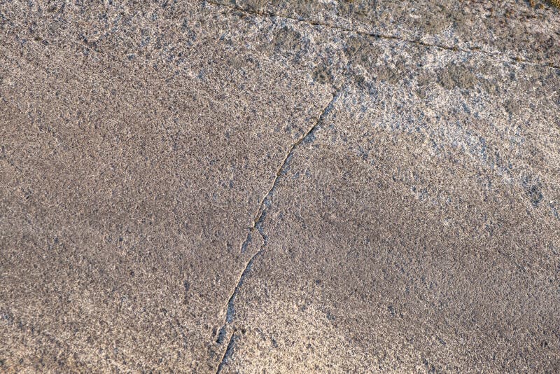 Packwoods X Runtz 1.0ml E Cigarettes Texture Pens 10 Flavors Available 380mAh Battery Disposable Vape Pens With Bottom Usb Charger Rechargeable Device Pods