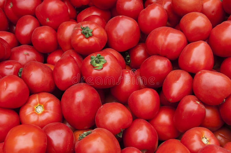 Texture rouge de récolte des tomates photos stock Texture rouge de récolte des tomates photos stock