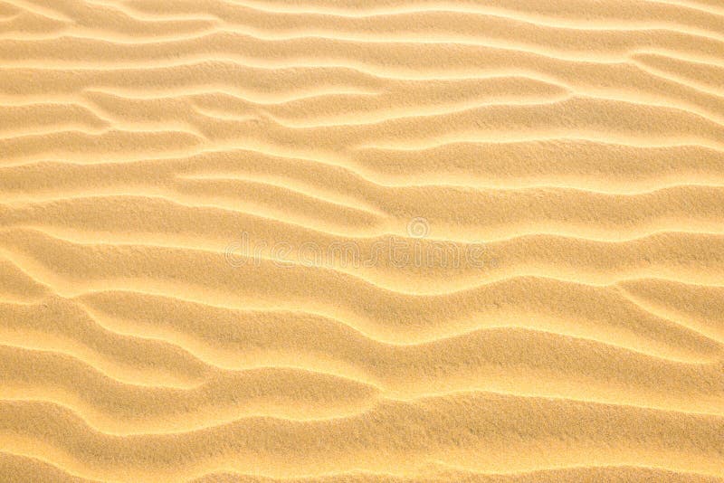 Texture of sand dunes
