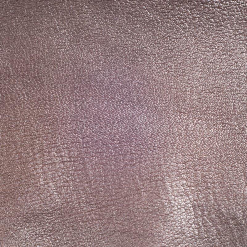 texture of the skin
