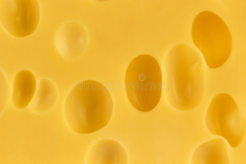 Texture of the Swiss Cheese Closeup Stock Photo Image of ripening