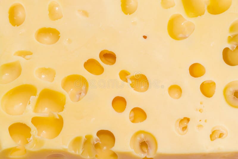 Texture of the Swiss Cheese Closeup Stock Photo Image of ripening