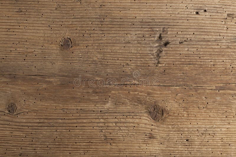 Texture Of Termite Damaged Wood Stock Image Image Of Hole