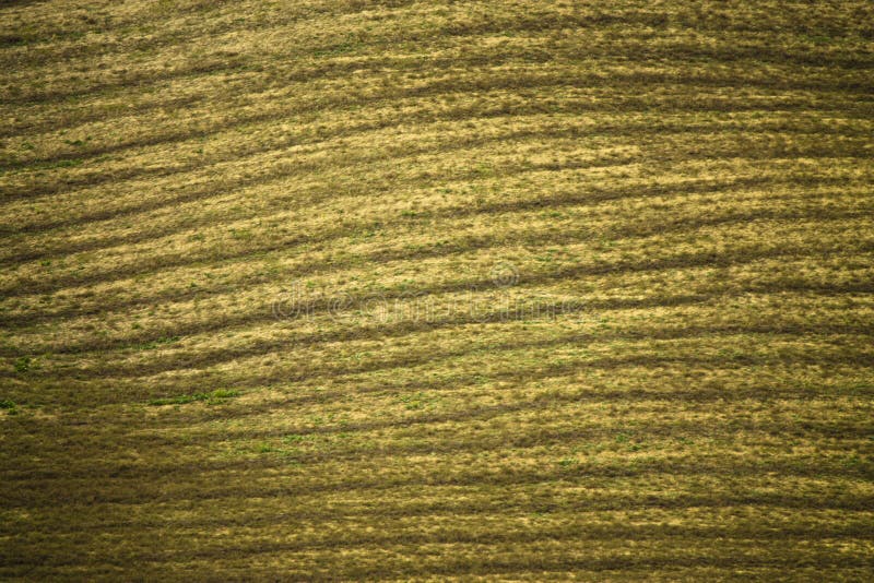 Texture of tuscan field in val d' Orcia royalty free stock images