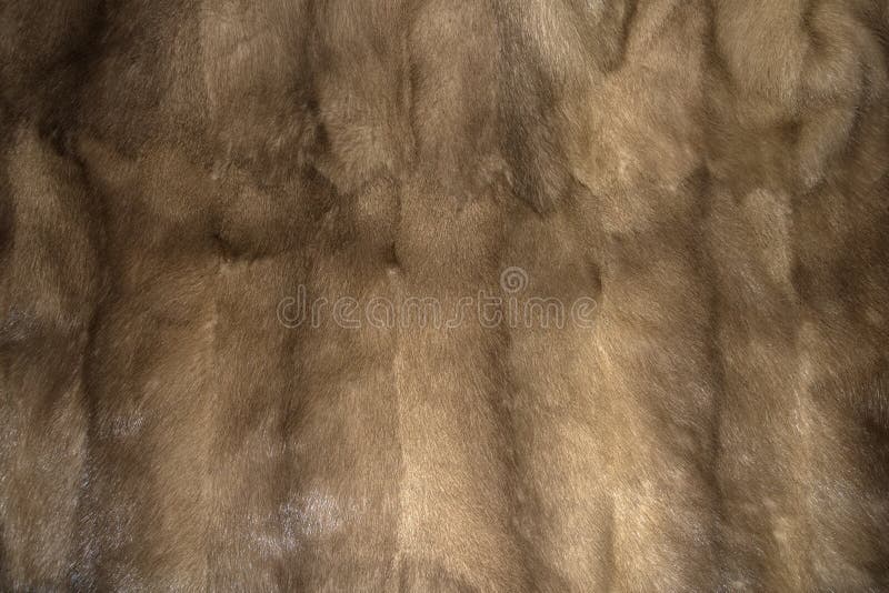 Mink Fur Background Texture Stock Image - Image of nature, fluffy