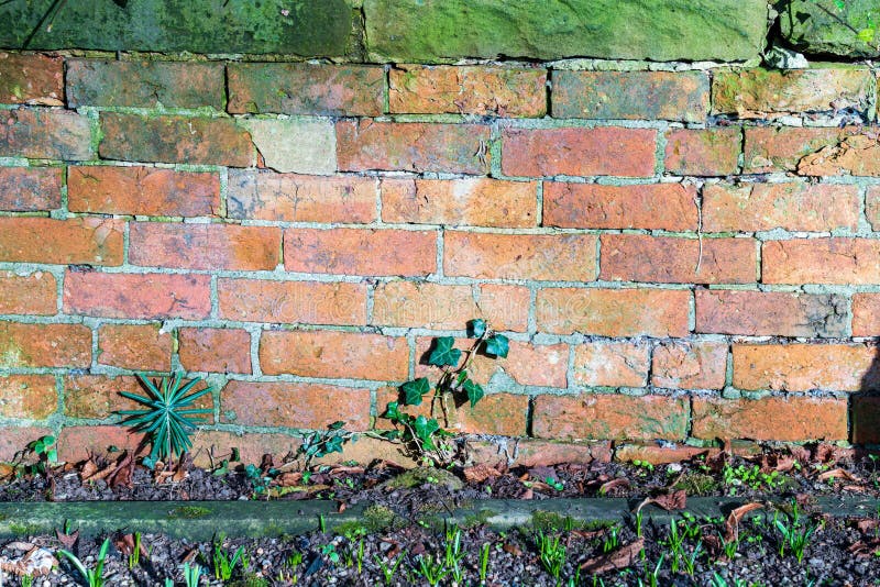 Texture Wall Background Pattern of Old Vintage Weathered Bricks with