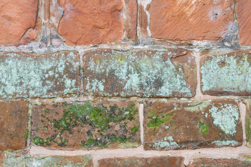 Texture Wall Background Pattern of Old Vintage Weathered Bricks with