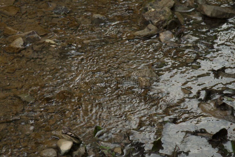 Texture of Water in the River Was Where the Bottom is Visible Stock ...