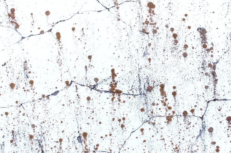 Texture of Whitewashed Concrete Wall with Cracks and Spots of Lichen