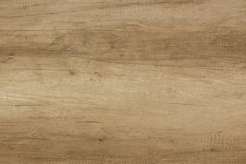 Texture of wood royalty free stock images