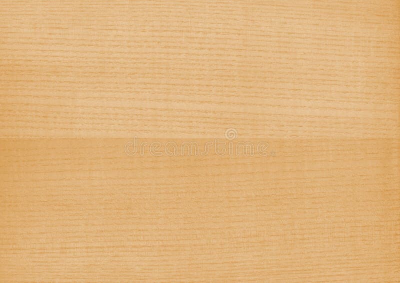 Texture of wood background closeup. royalty free stock images Texture of wood background closeup. royalty free stock images
