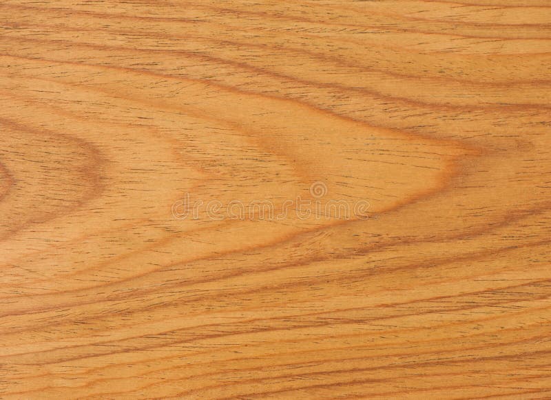 Texture of wood background closeup , use as wall paper royalty free stock photography Texture of wood background closeup , use as wall paper royalty free stock photography