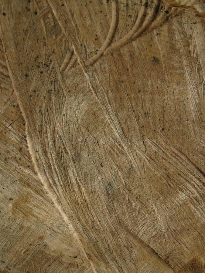 Texture of wood board