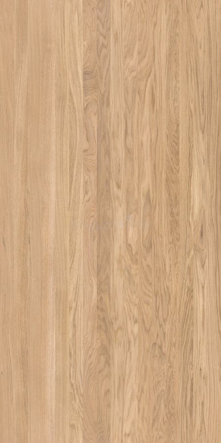 Texture wood texture, high quality royalty free illustration