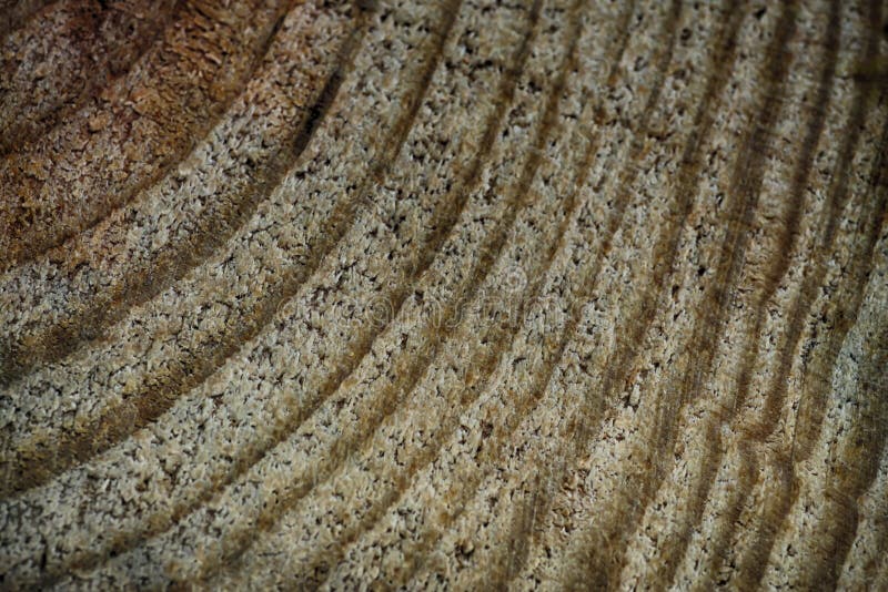 The texture of the wooden background image royalty free stock photography