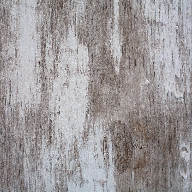 Texture of wooden history