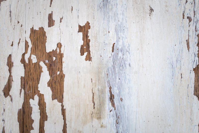 Texture of a wooden surface with white cracked paint royalty free stock photos Texture of a wooden surface with white cracked paint royalty free stock photos