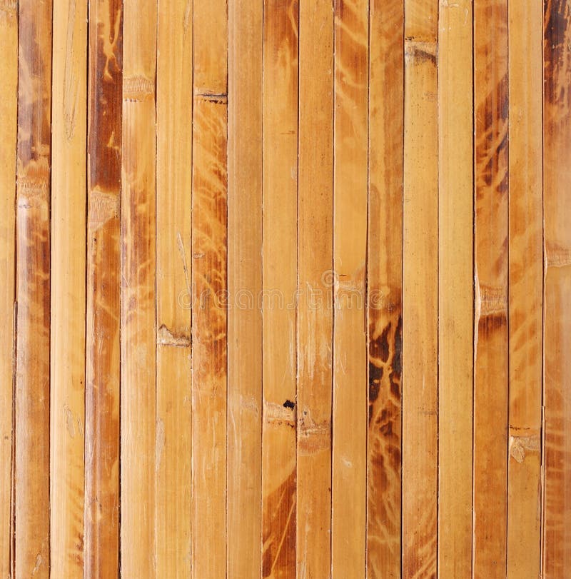 Texture of Yellow Bamboo Wall Stock Image Image of forest, floor