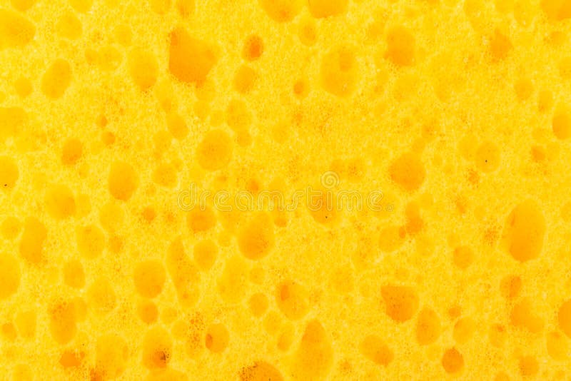 1,782 Yellow Sponges Stock Photos, High-Res Pictures, and Images