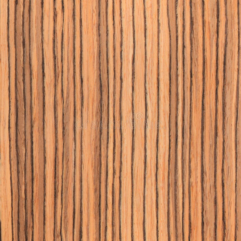Texture zebrano, wood grain