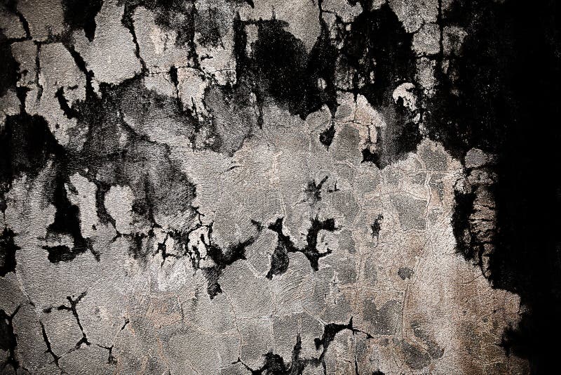 Peeling Wallpaper on Drywall Stock Image Image of house, disrepair