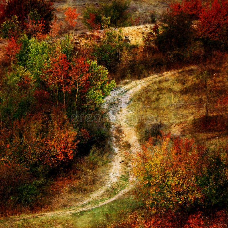 Textured autumn stock photography Textured autumn stock photography