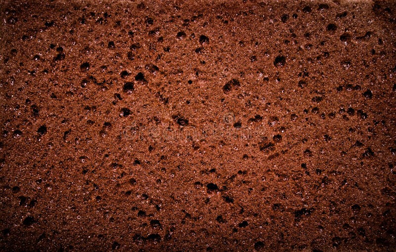 Textured background - macro view of brown sponge