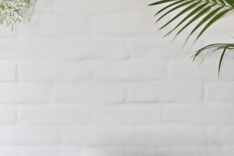 Textured Background of a White Brick Wall with Plants. Copy Space