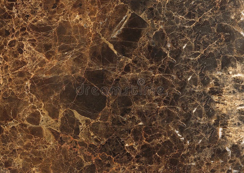 Textured Dark Brown Marble Stone with White Spots Stock Photo Image
