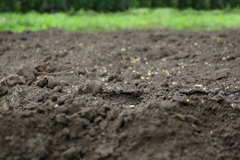 Textured ground surface as background. Fertile soil for farming and gardening. Textured ground surface as background, closeup. Fertile soil for farming and royalty free stock photography Textured ground surface as background. Fertile soil for farming and gardening. Textured ground surface as background, closeup. Fertile soil for farming and royalty free stock photography