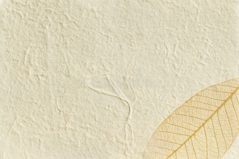 Textured paper gold leaf stock photo. Image of leaf, plain 25411464
