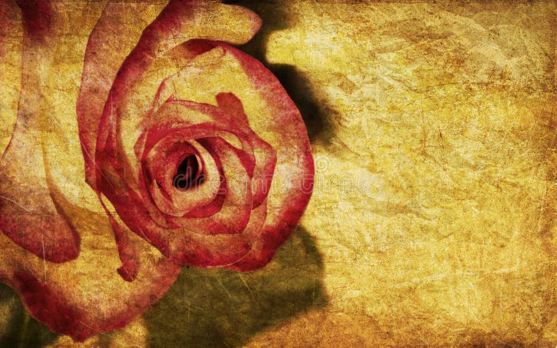 Textured rose