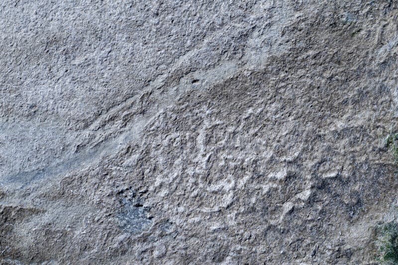 Textured surface silt or ooze of gray color