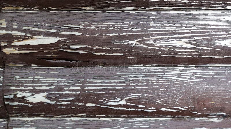 Texturen av br?det med skalning av m?larf?rg abstrakt bakgrundsdesign Brunt med vita rundade br?den V?ggpanel royaltyfri bild Texturen av br?det med skalning av m?larf?rg abstrakt bakgrundsdesign Brunt med vita rundade br?den V?ggpanel royaltyfri bild