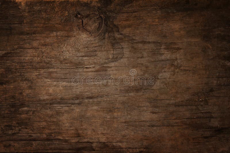 File of texture of bark wood use as natural background. File of texture of bark wood use as natural background