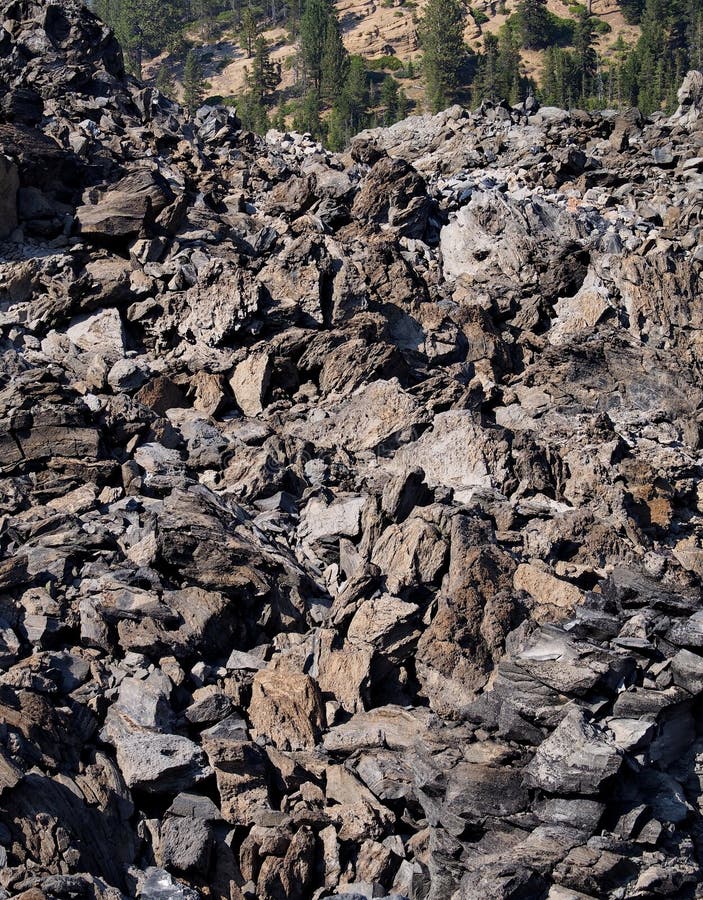 Texturerad obsidian på en kulle i skogen arkivbilder Texturerad obsidian på en kulle i skogen arkivbilder