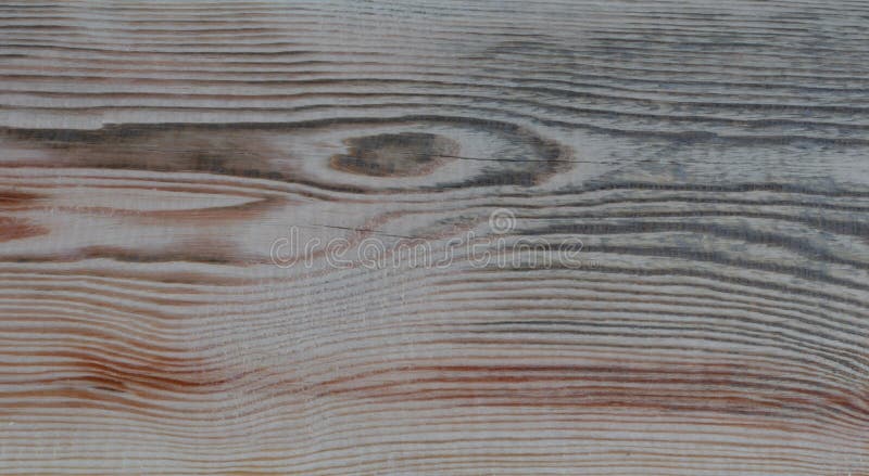texturerade organisk modellyttersida f?r abstrakt bakgrund tr?tr? arkivbilder texturerade organisk modellyttersida f?r abstrakt bakgrund tr?tr? arkivbilder