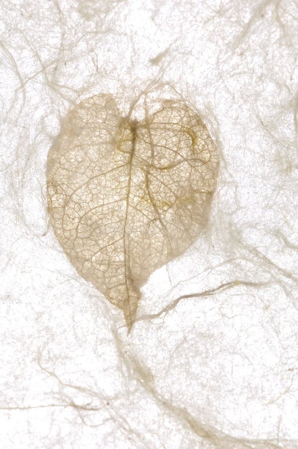 Collages leaves with different shapes, rice paper texture. Cardboard color shapes stock images, royalty-free photos and pictures