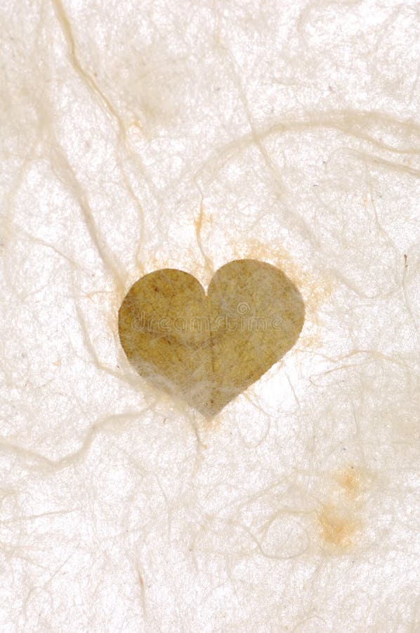 Collages leaves with different shapes, rice paper texture. Cardboard color shapes stock images, royalty-free photos and pictures